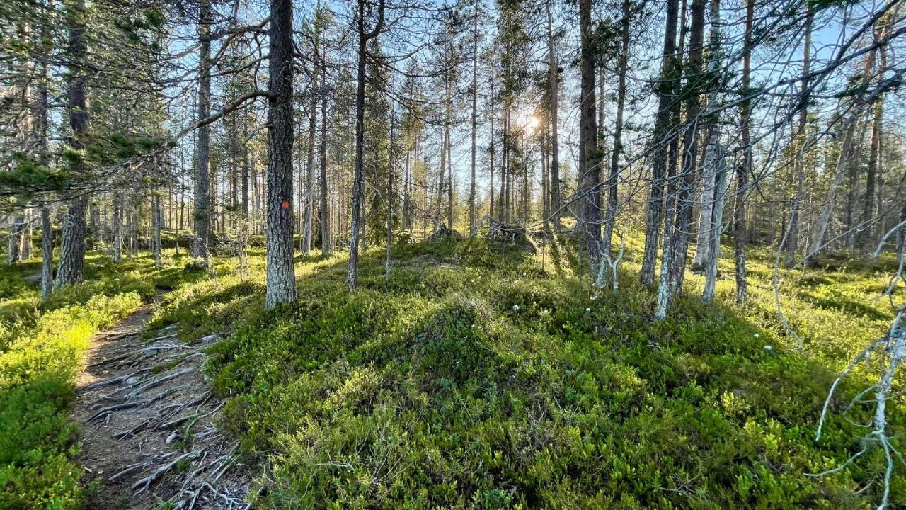 Lapiosalmi Wilderness Center Hotel ปอซิโอ ภายนอก รูปภาพ