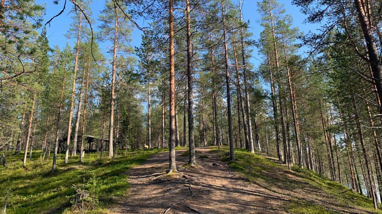 Lapiosalmi Wilderness Center Hotel ปอซิโอ ภายนอก รูปภาพ