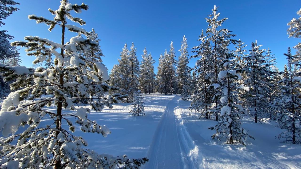 Lapiosalmi Wilderness Center Hotel ปอซิโอ ภายนอก รูปภาพ