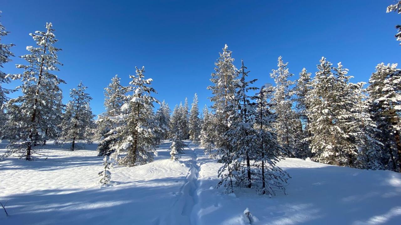 Lapiosalmi Wilderness Center Hotel ปอซิโอ ภายนอก รูปภาพ